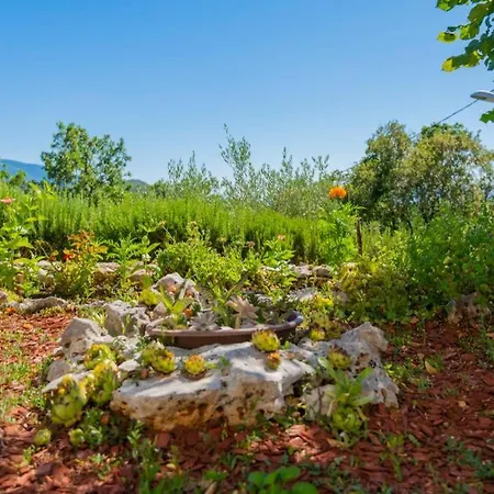 Vita- 3 Bedroom With Private Pool